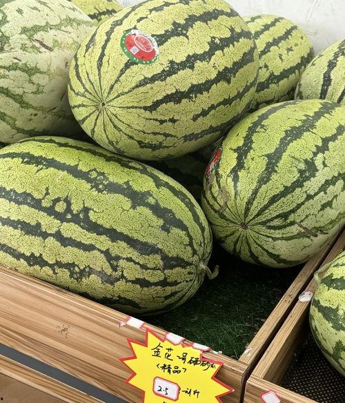 娱乐吃瓜酱重庆山东