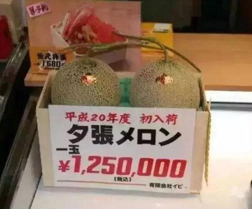 娱乐吃瓜小金,揭秘娱乐圈那些不为人知的幕后故事