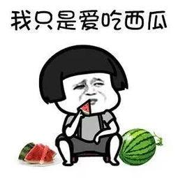 娱乐吃瓜老板是谁啊